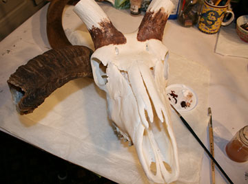 Kudu Trophy, process of mosaic sculpture by Denise Sirchie